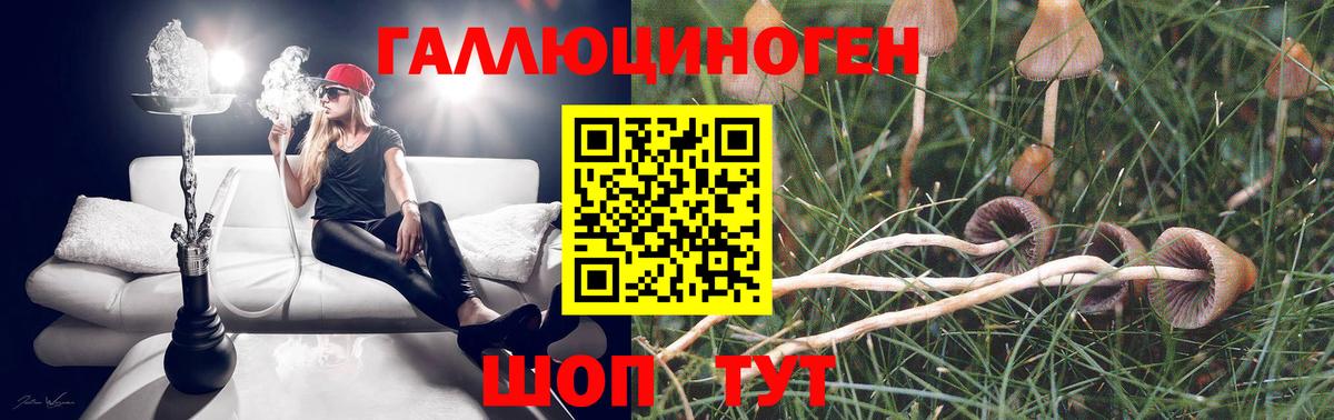 Галлюциногенные грибы Magic Shrooms Курчалой
